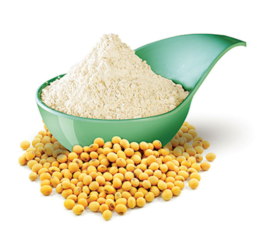 Soy Flour