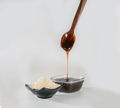 Soy Lecithin