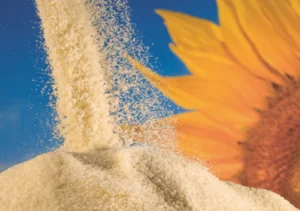 Sunflower Lecithin Powder